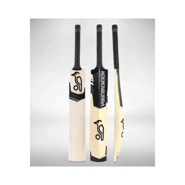 cricket bat